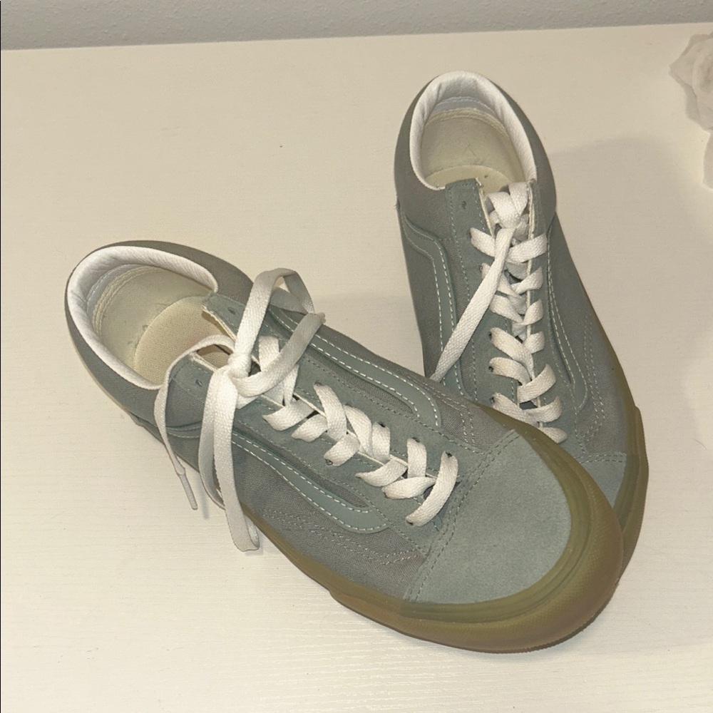Vans Skate Shoes